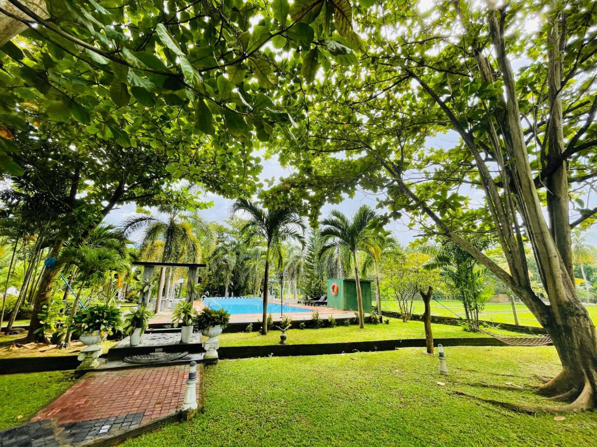 פולונרואה Tishan Holiday Resort מראה חיצוני תמונה