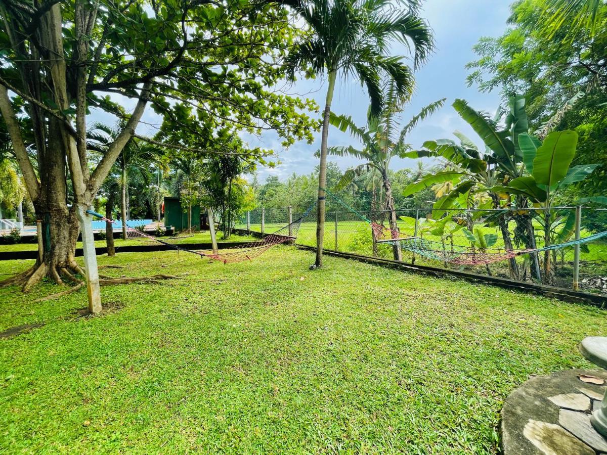 פולונרואה Tishan Holiday Resort מראה חיצוני תמונה